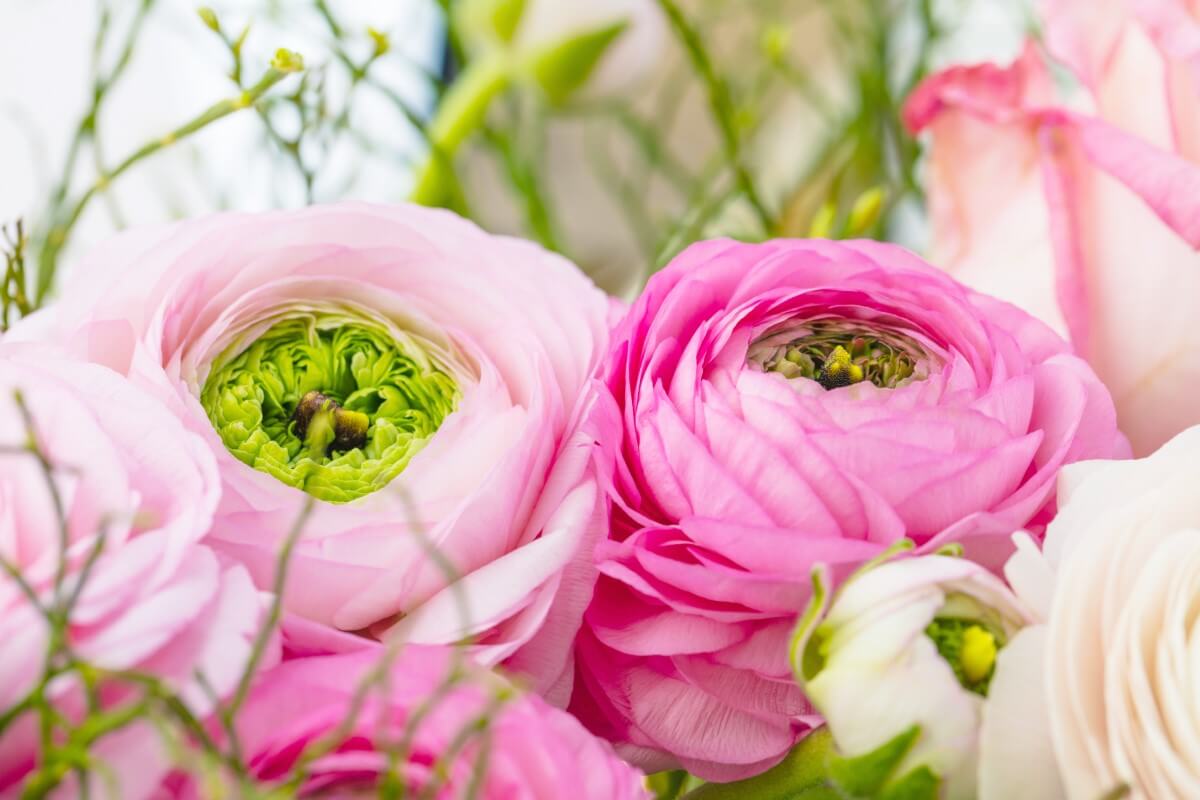 15 Best Types of Flowers for Easter Gifts Petal Republic