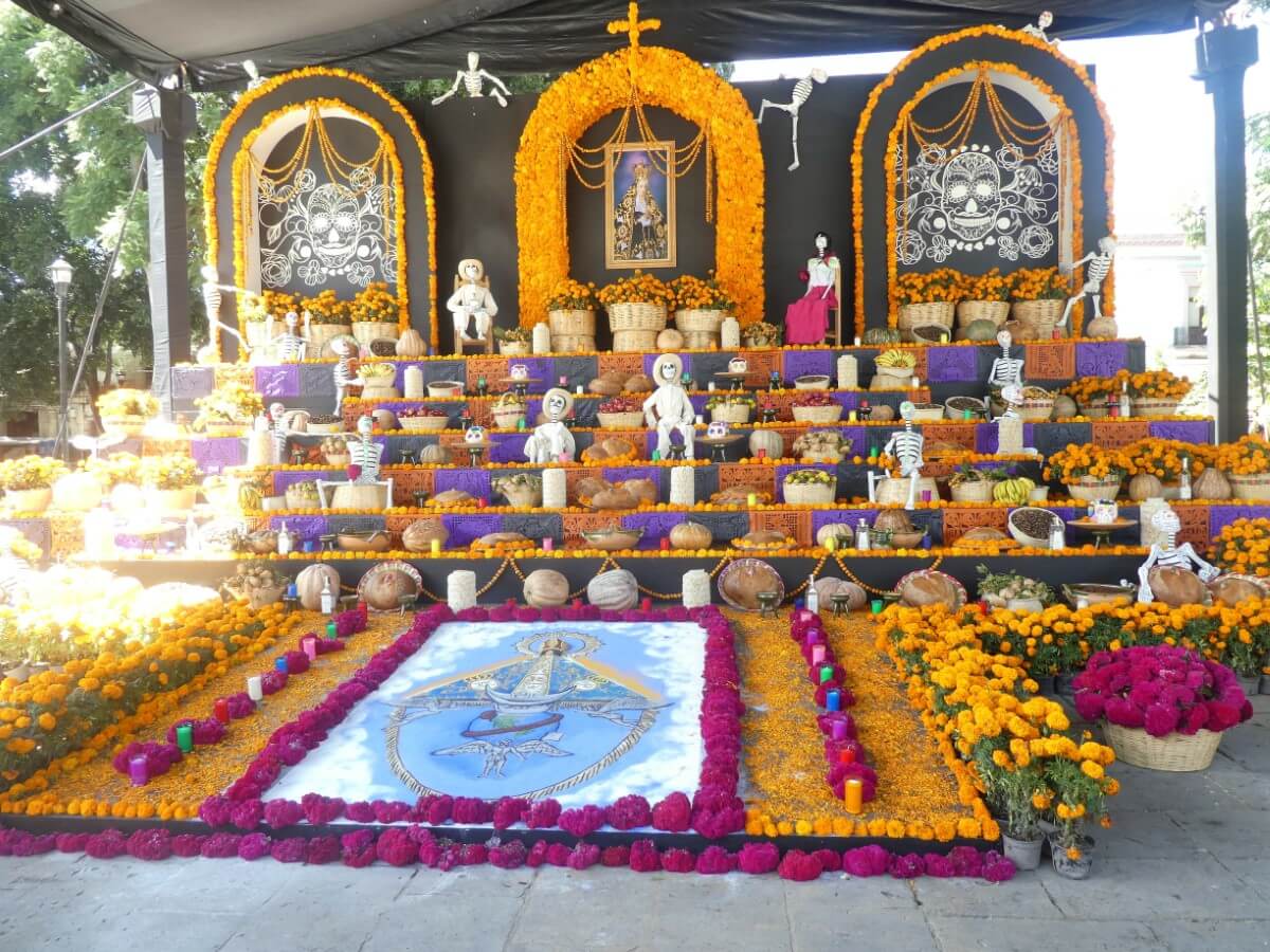 Ultimate Guide to Day of the Dead Flowers (Día de los Muertos) Petal