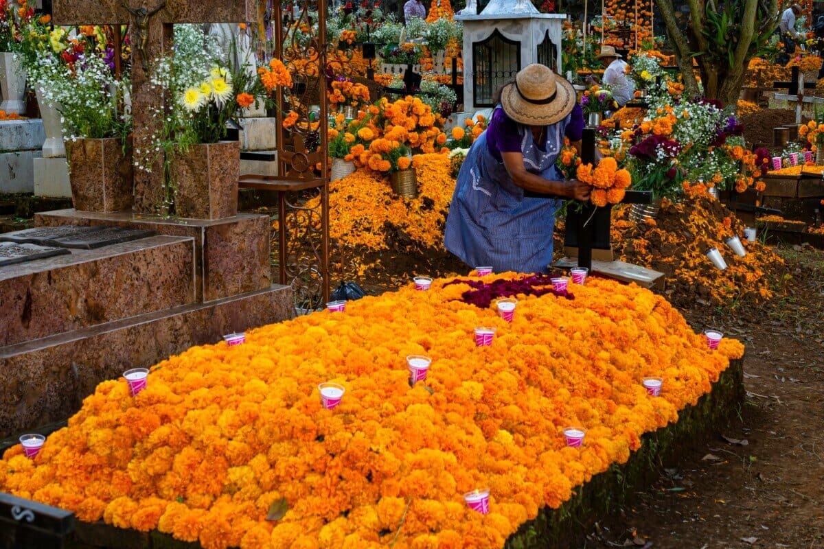 Ultimate Guide to Day of the Dead Flowers (Día de los Muertos) Petal