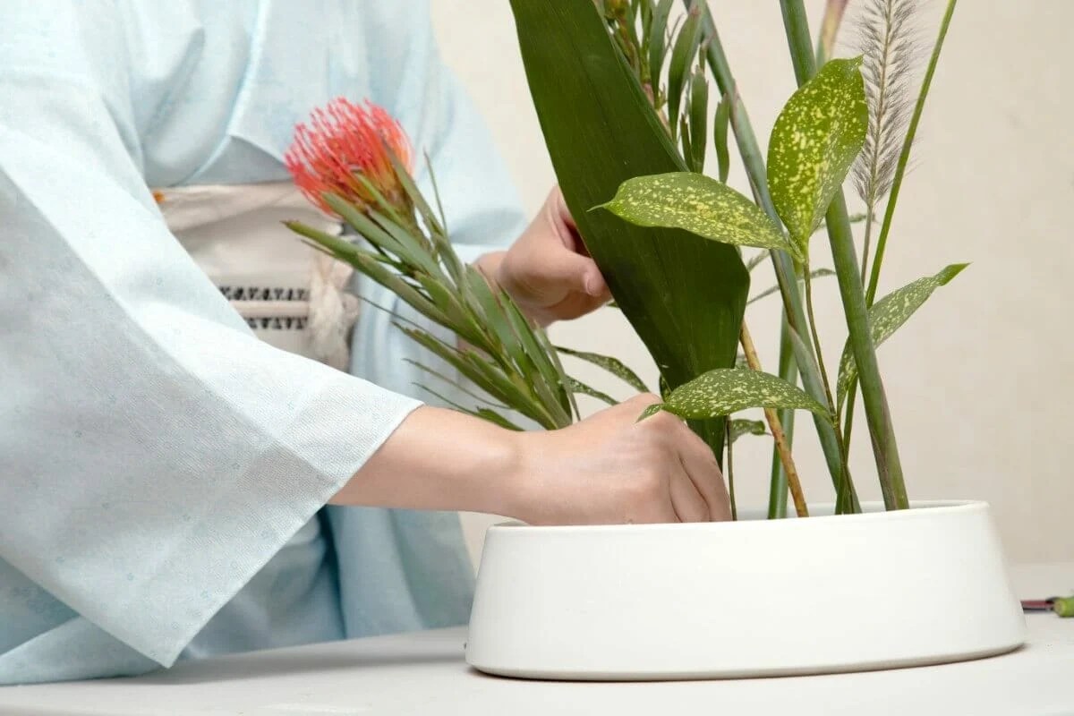 Ultimate Guide to Hanakotoba The Japanese Language of Flowers Petal