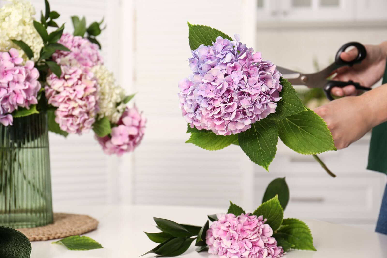 How to Cut Hydrangeas for a Vase or Bouquet Petal Republic
