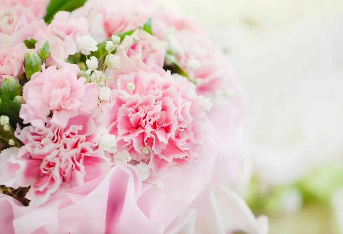 14 Best Types of Flowers to Gift on A First Date Petal Republic