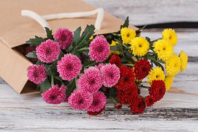 14 Best Types of Flowers to Gift on A First Date Petal Republic