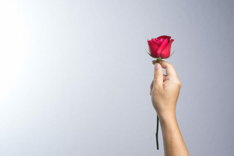 14 Best Types of Flowers to Gift on A First Date Petal Republic