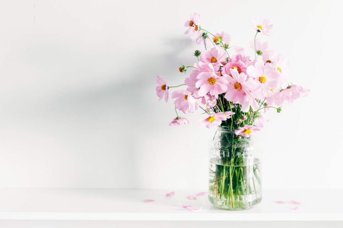 How To Cut Cosmos Flowers For Beautiful Floral Arrangements Petal