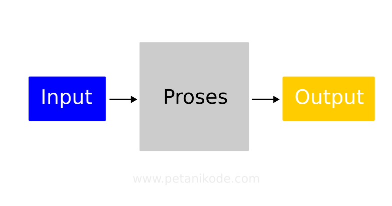 Belajar Python: Cara Mengambil Input dan Menampilkan Output
