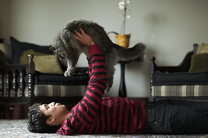 Should My Cat Live Inside Benefits & Considerations Petbarn