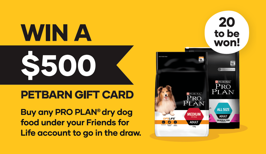 Win a 500 Petbarn Gift Card with PRO PLAN 2020 Petbarn
