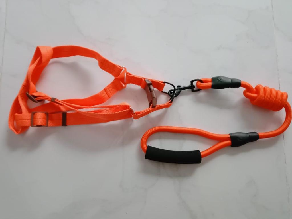 New Rope Harness ( XL ) Buy Online in Sri Lanka Pet Products Online