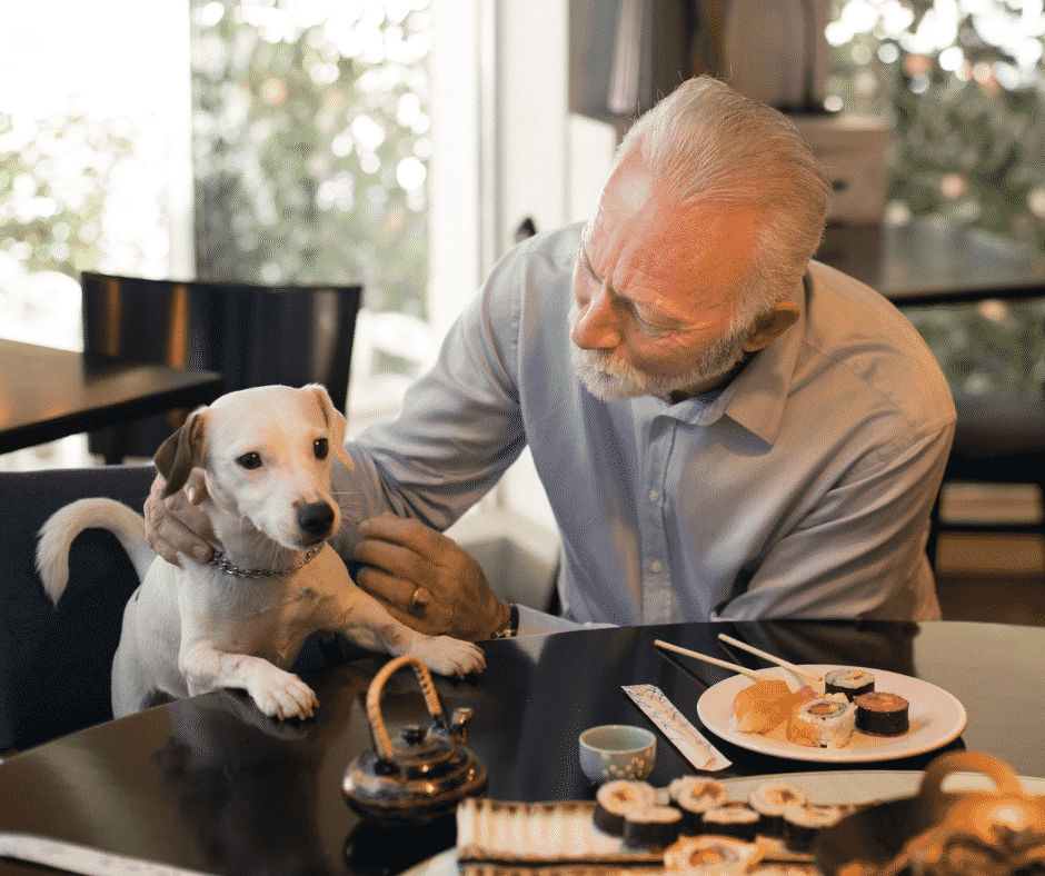 What Are Places That Serve DogFriendly Food? Pet Butler