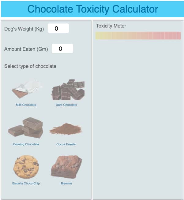 Dog Chocolate Ingestion Chart Stom