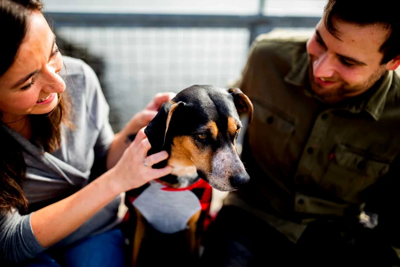 Pet Insurance for Exotic Pets What You Need to Know Pet Care Bytes