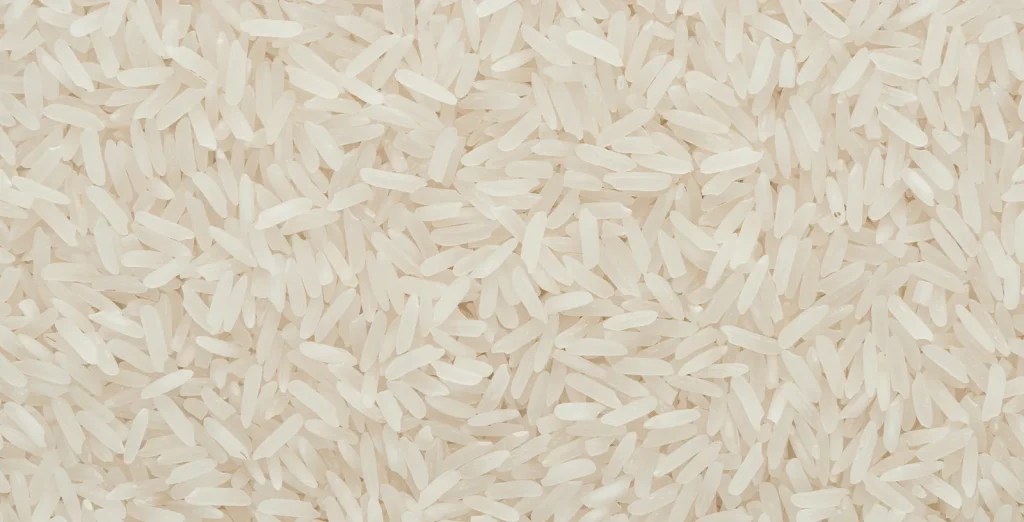 Emergency Cat Litter 6 Substitutes You Probably Have at Home