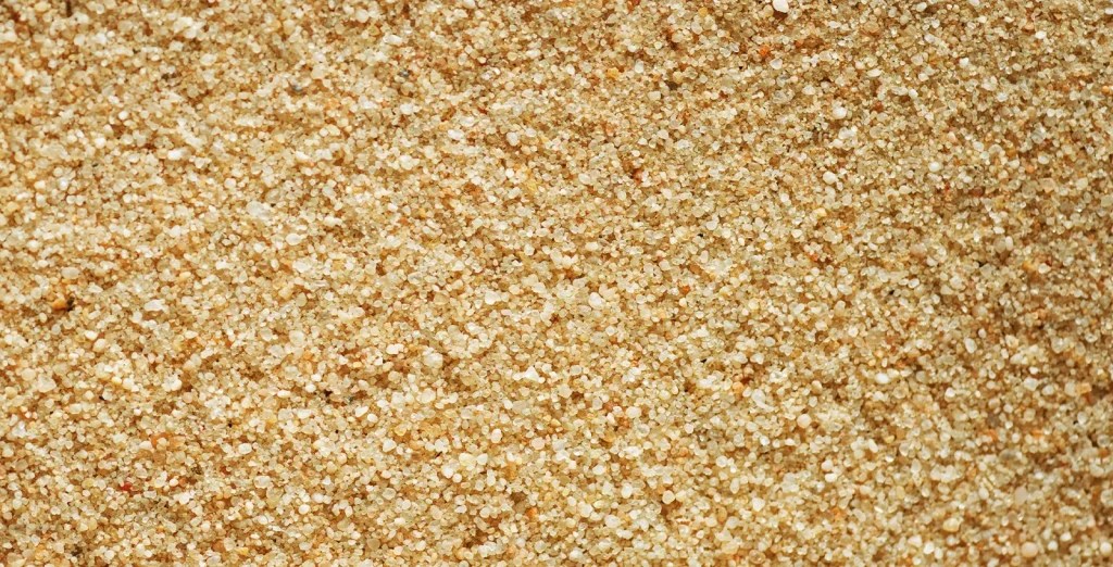 Emergency Cat Litter 6 Substitutes You Probably Have at Home