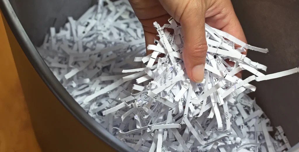 Emergency Cat Litter 6 Substitutes You Probably Have at Home