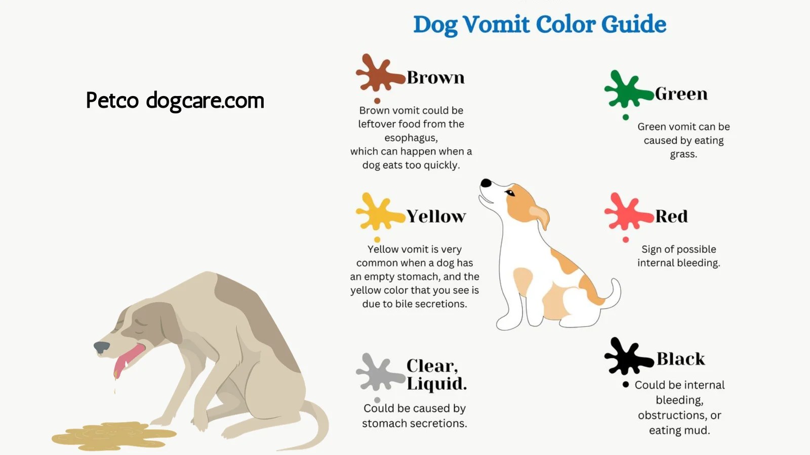 Why Dogs Throw Up Food. Understanding Colors and Concerns. Petco Dog Care