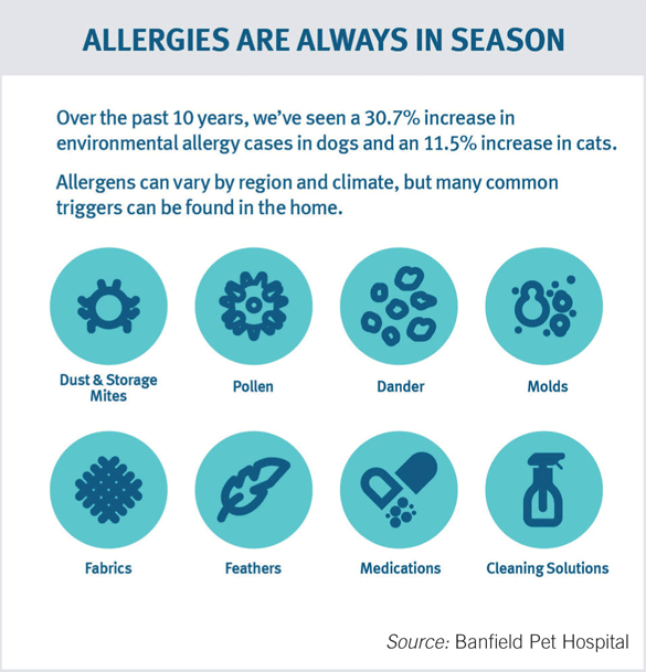 Best Dog Food For Allergies Dog Owner's Free Guide 2022
