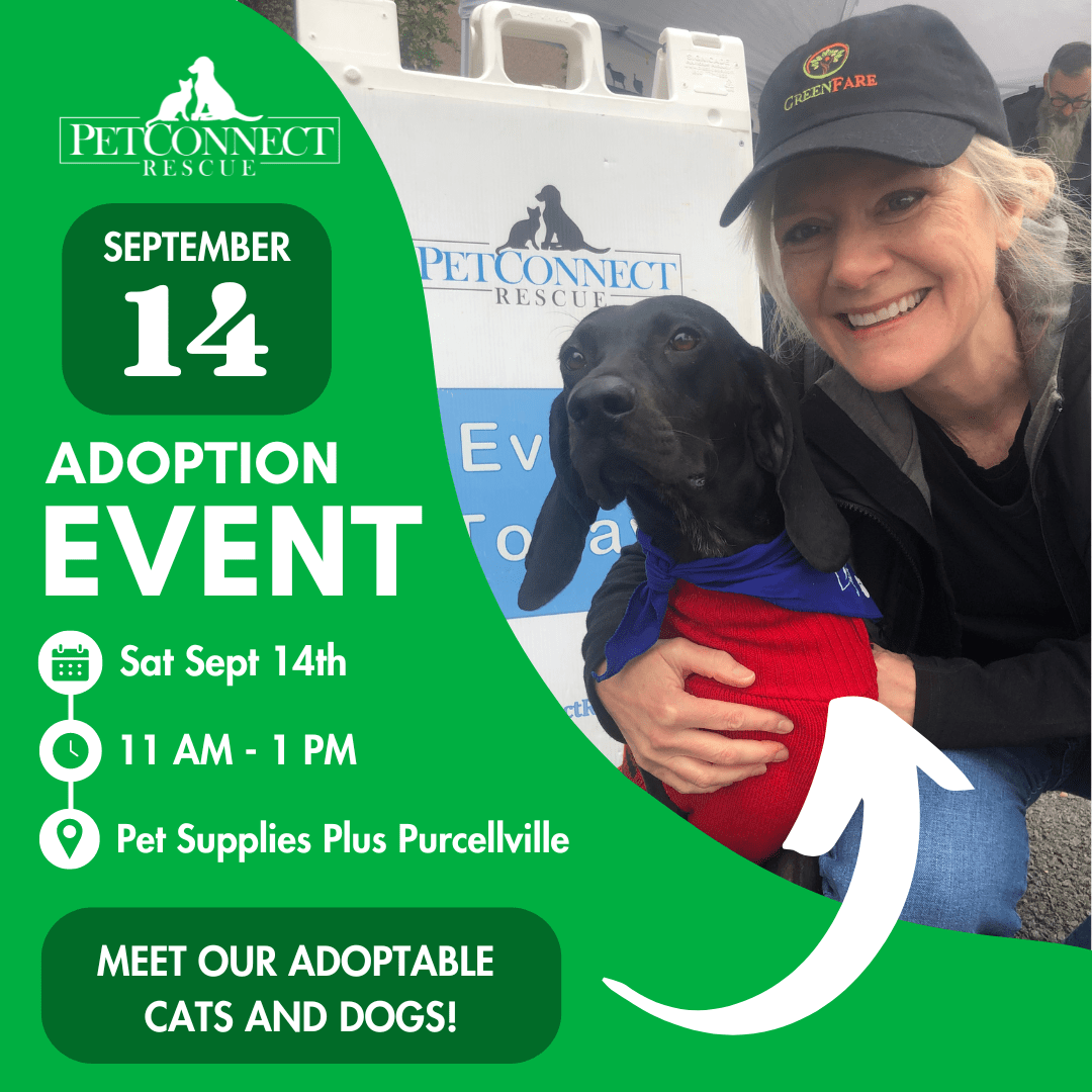 Adoption Event at Pet Supplies Plus Purcellville PetConnect Rescue