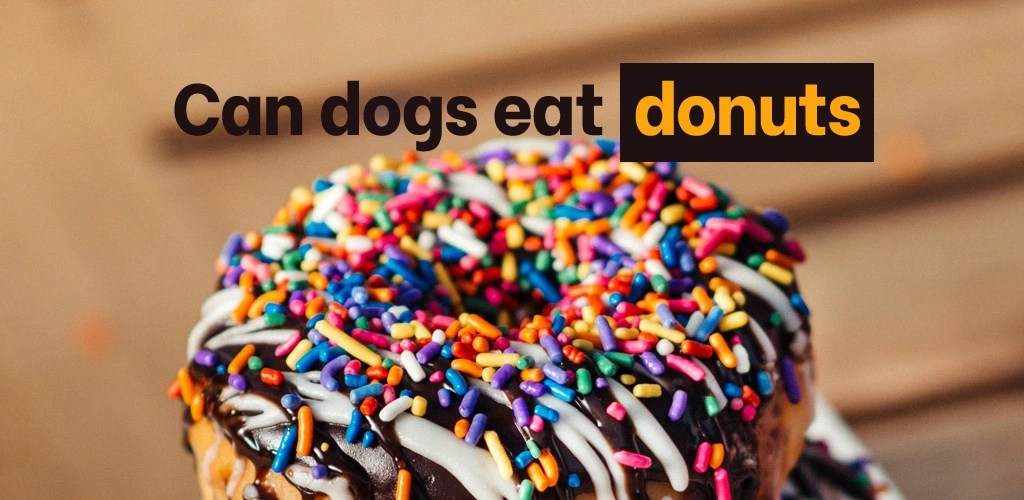 Are Cinnamon Donuts Bad For Dogs