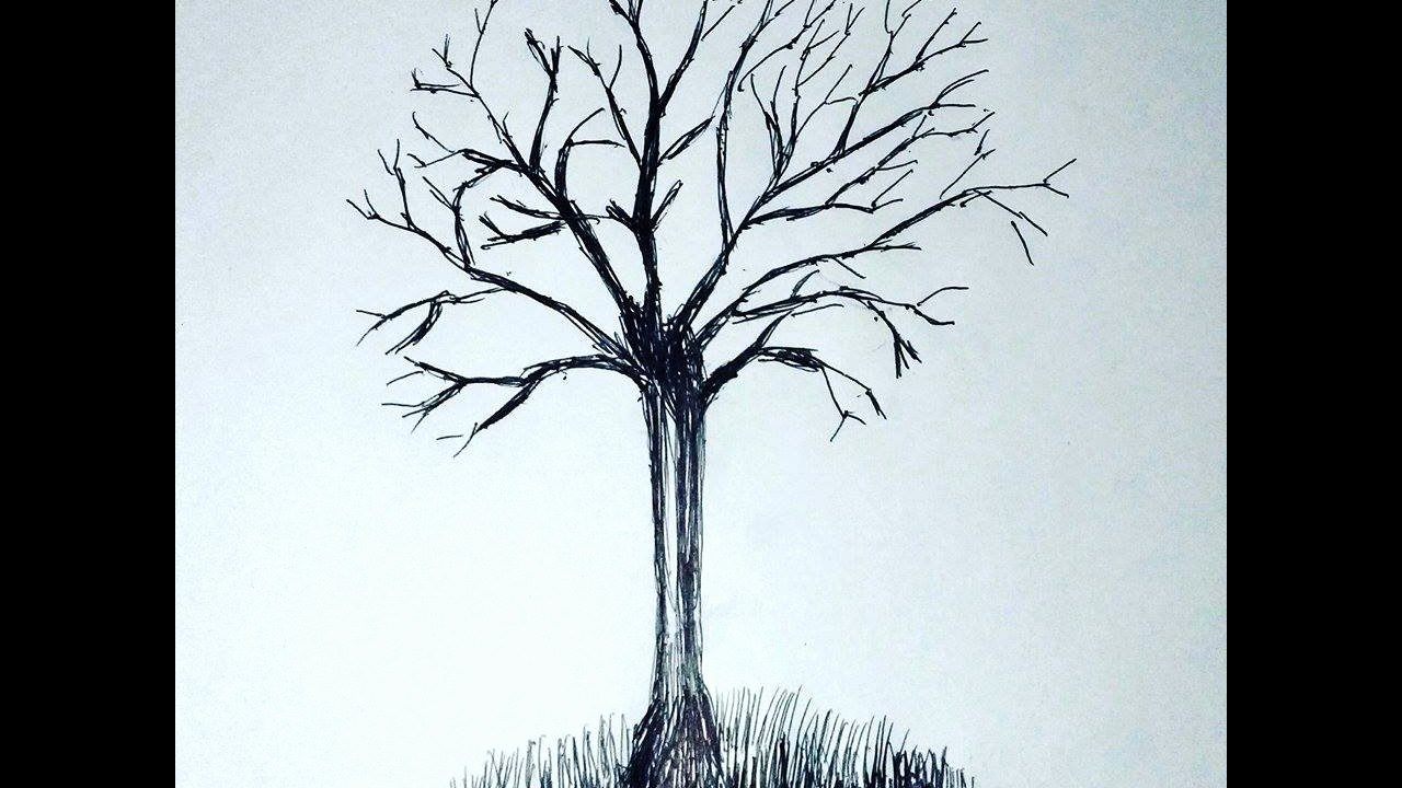 How To Draw A Simple Tree Without Leaves