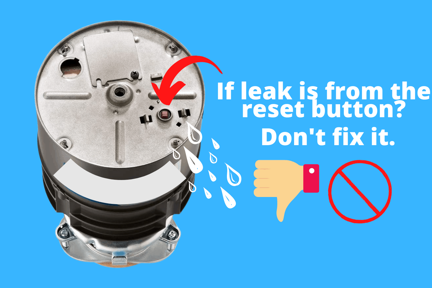 Garbage Disposal Reset Button How To Bring Your Unit Back To Life