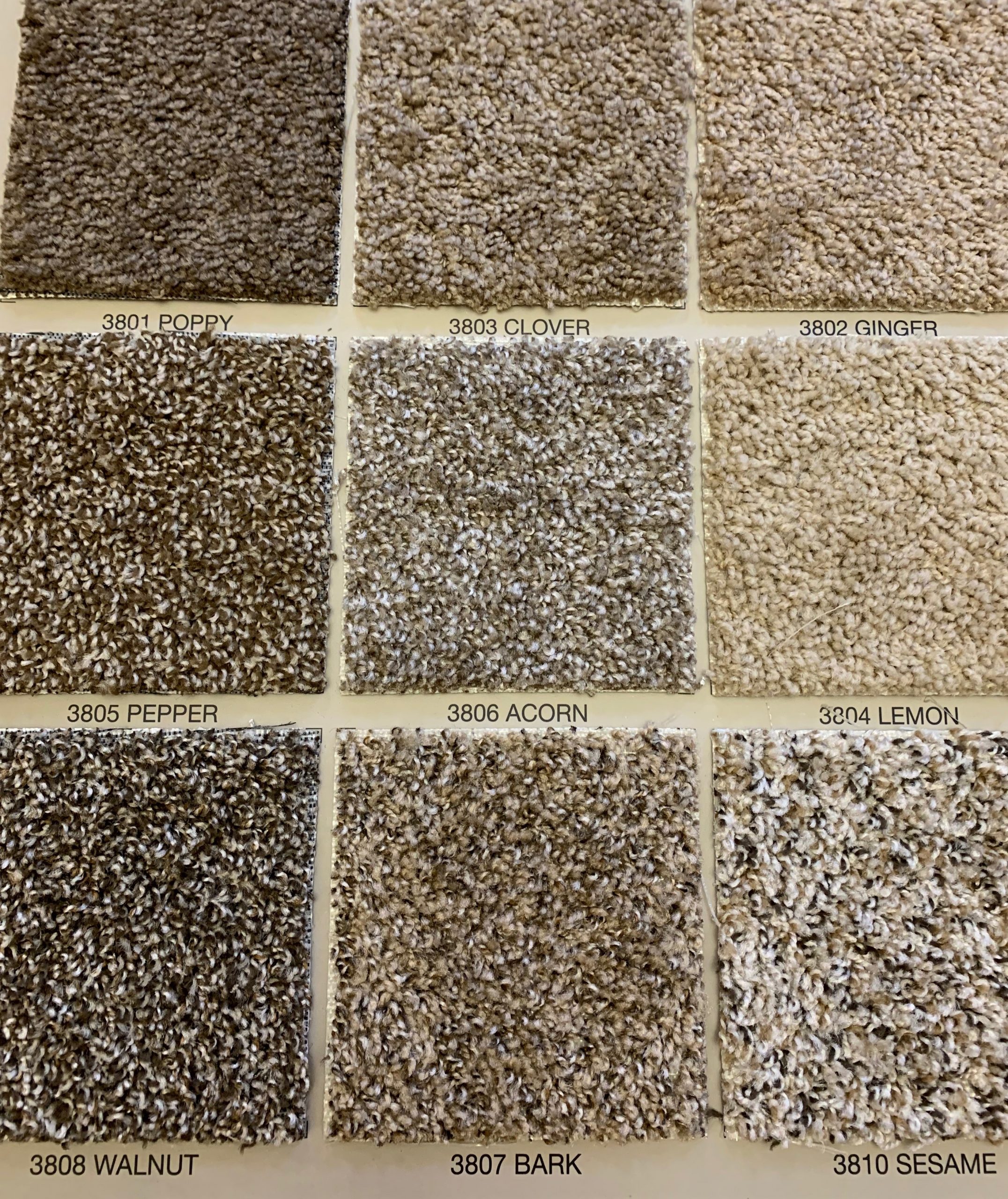 Twist Pete's Carpet Service