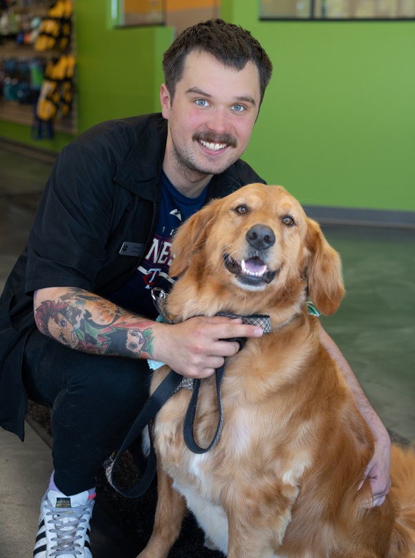 Dog Dental Care 5 Essential Tips Pet Evolution