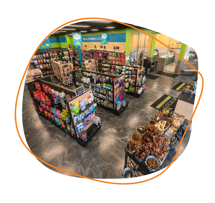 Healthy Pet Food & Grooming in Phoenix Pet Evolution Default