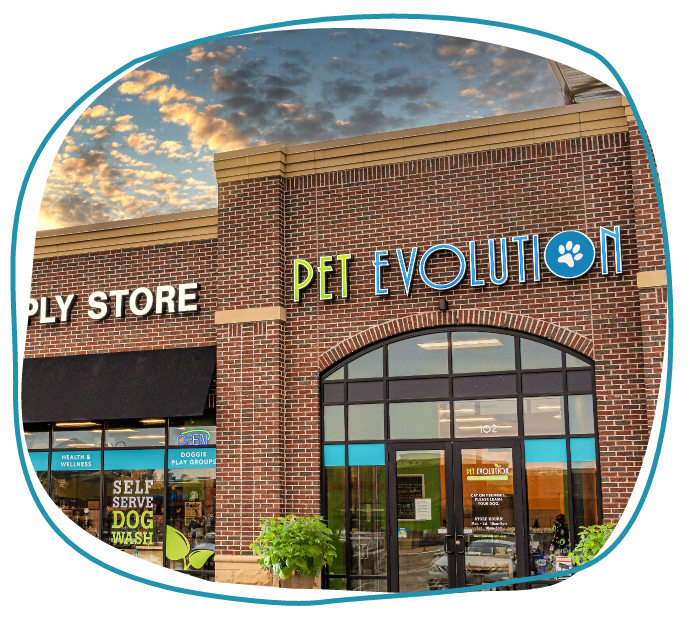 Dog Wash Stations & Pet Grooming in Phoenix Pet Evolution Default