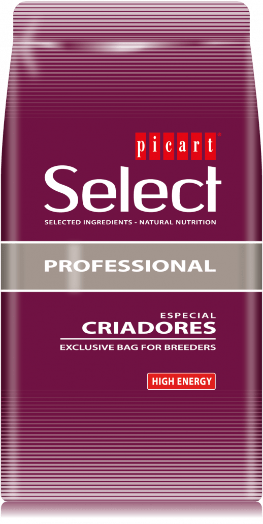 Select Professional High Energy Buy Picart Dog Food at