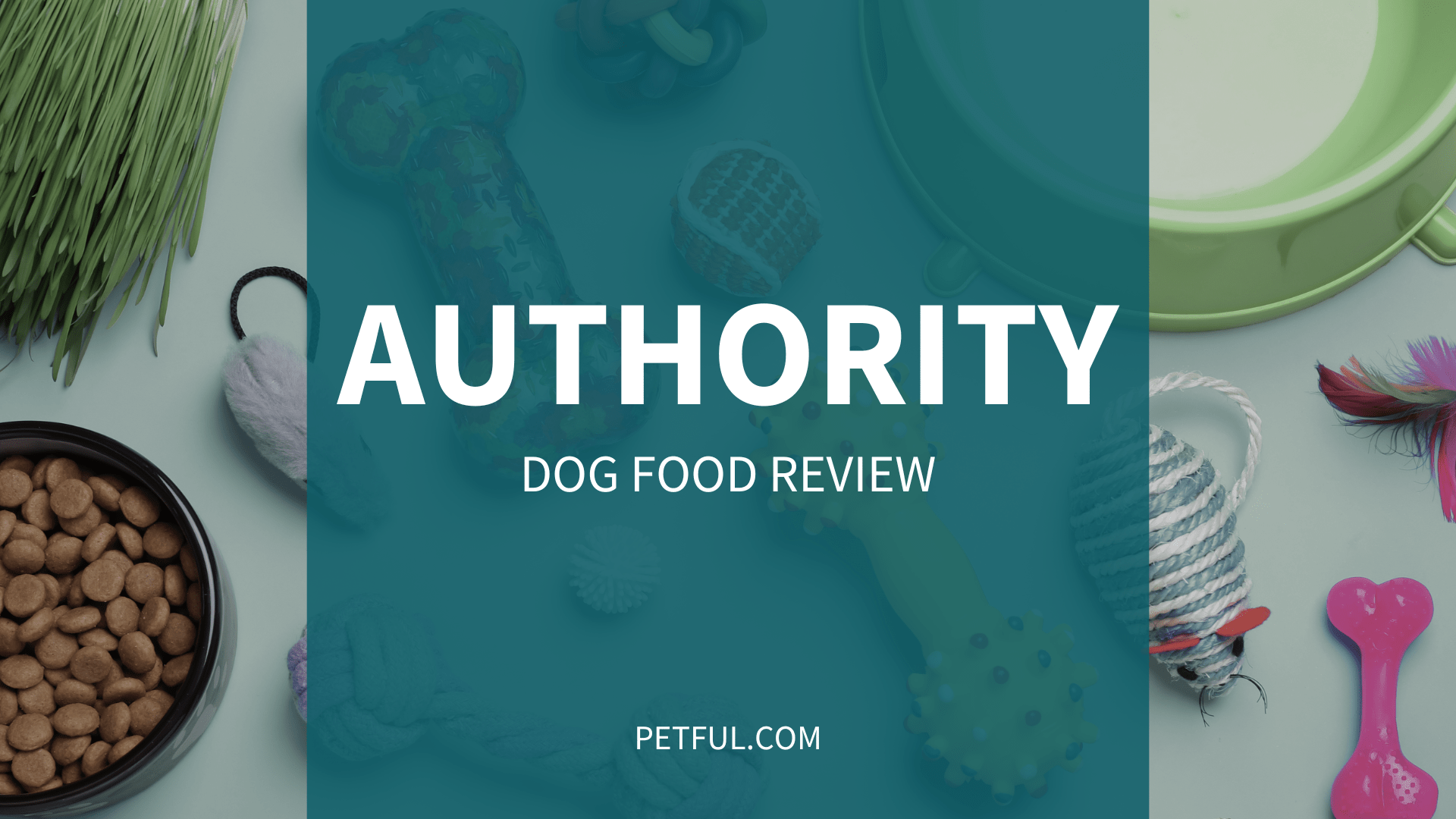 Authority Dog Food Review (Brand) Complete Buyer’s Guide Petful