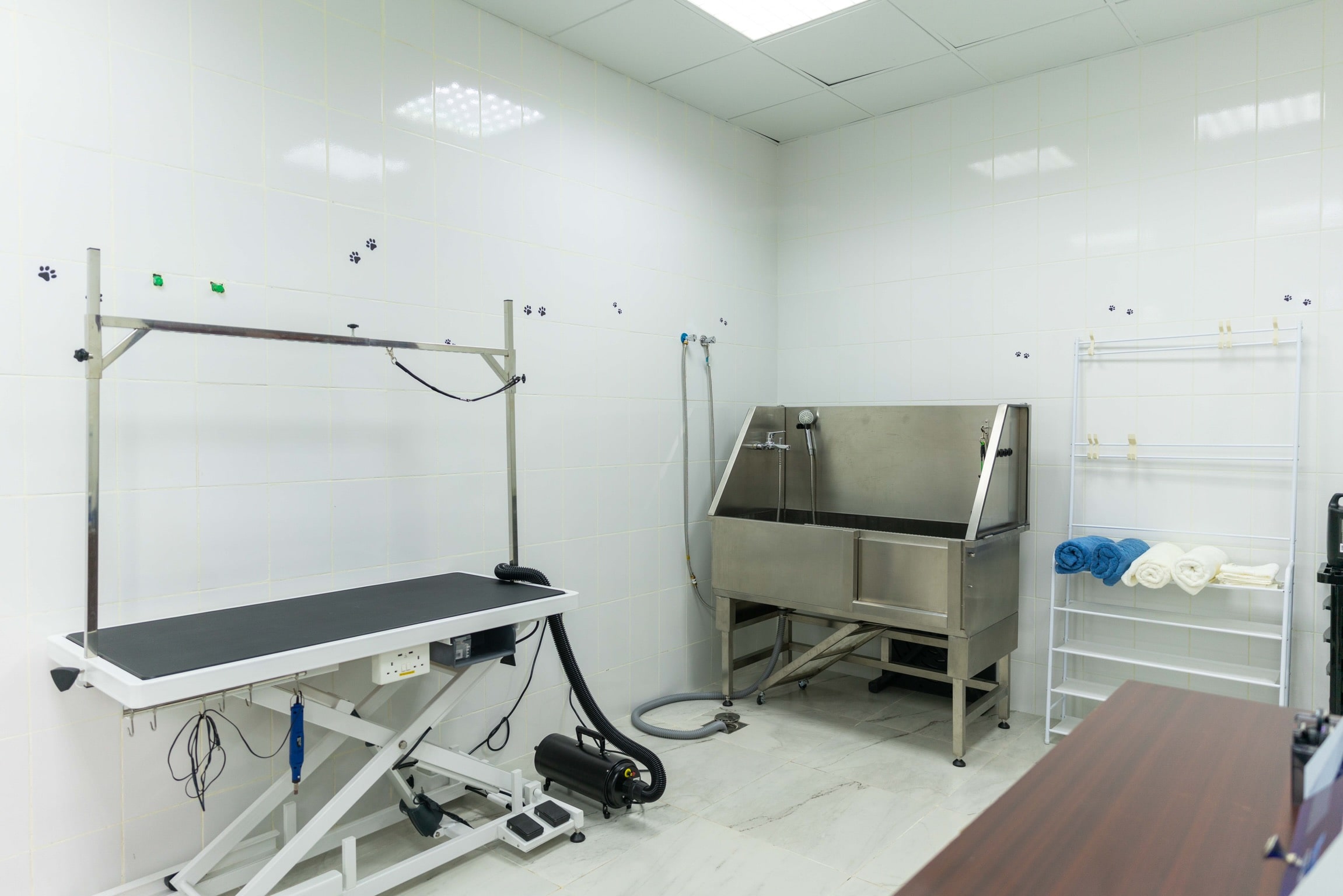 Professional Pet Grooming in Dubai Pet grooming Dubai near me