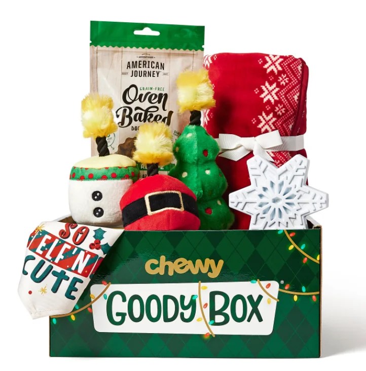 10 Christmas Gifts for the Dog Pet Hooligans