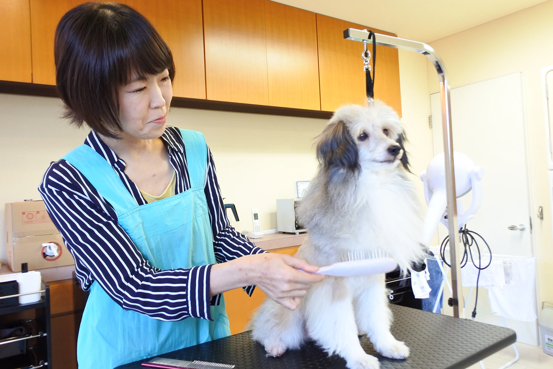 ペットホテル Pet House わん’s 徳島市城東町にあるペットホテル&サロン