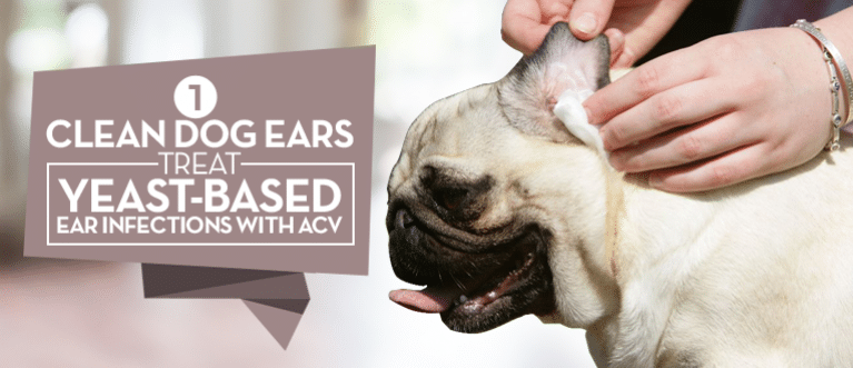 Apple Cider Vinegar for Dogs 17 Proven Benefits