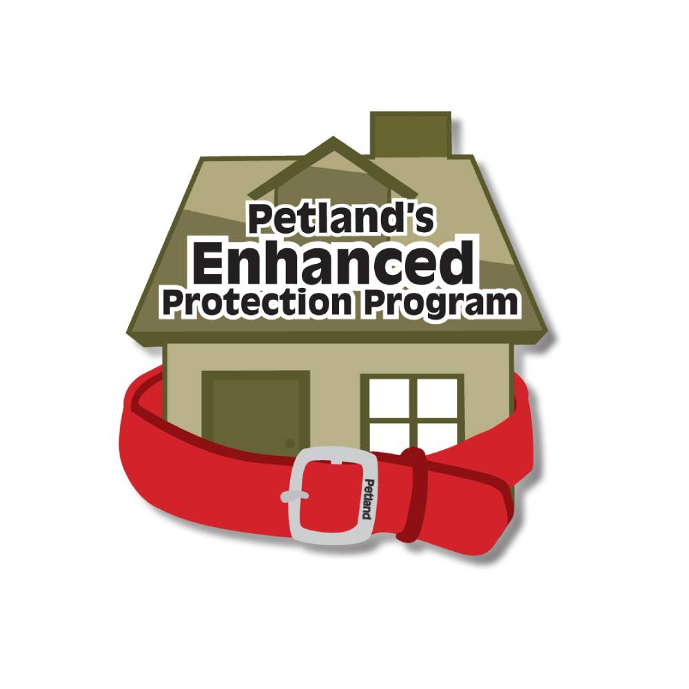 Petland Gives Back Petland Florence, Kentucky