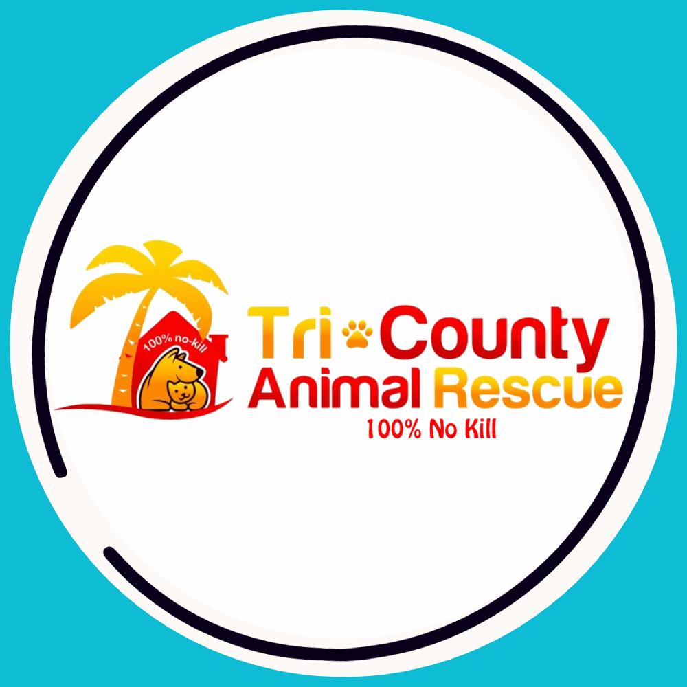 Animal Rescue Shelters in Palm Beach County Pet Lovers Palm Beach County