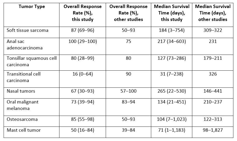 Does Radiation Therapy Work for Dogs With Cancer? PetMD