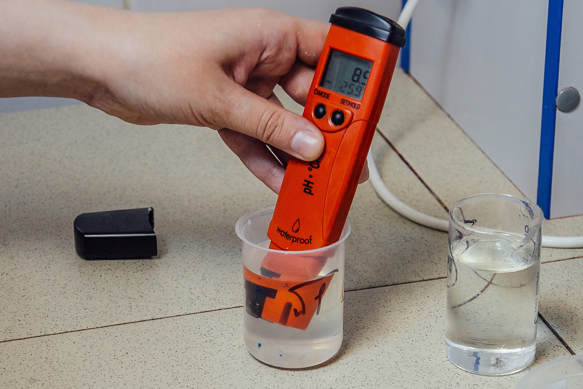 Top 8 Best Aquarium pH Meters (2022 Review and Usage Guide)