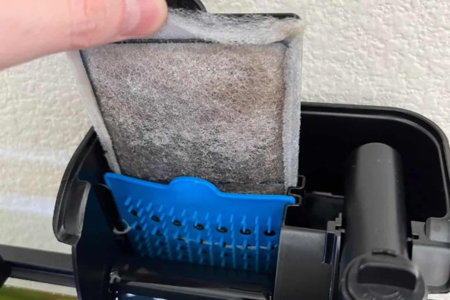 How Often To Change Filter Cartridge In Fish Tank