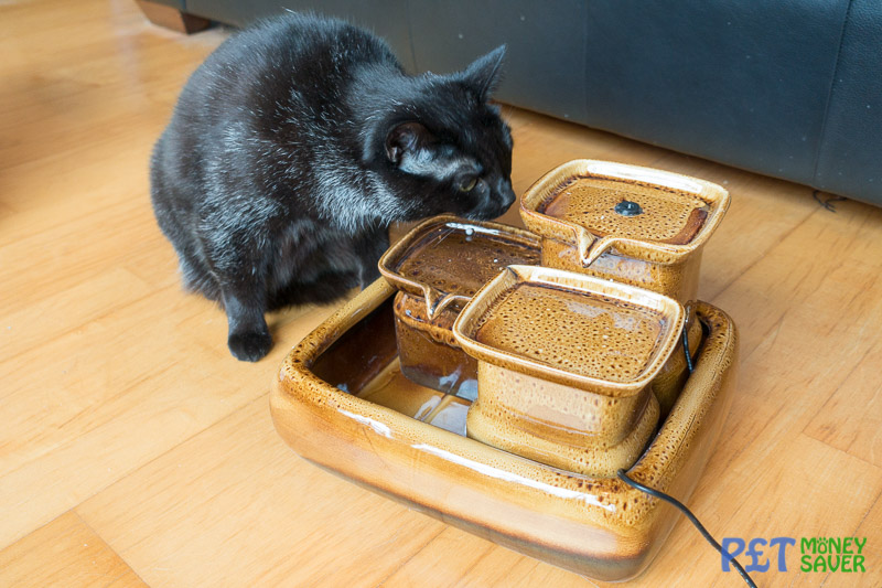 Miaustore Ceramic Cat Water Fountain Review PetMoneySaver