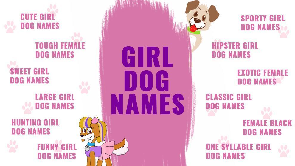 Girl Dog Names Top Female Dog Names Of 2021 Backed With