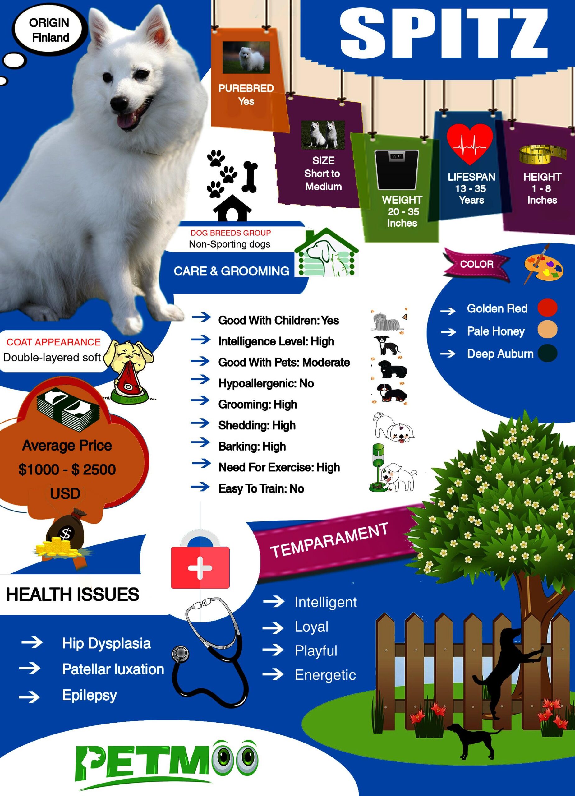 Spitz Dog Breed Information And Unique Facts Petmoo