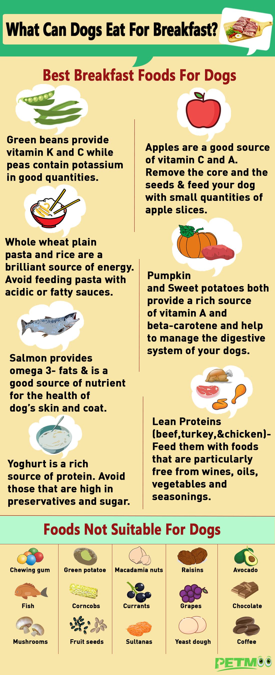 What Can Dogs Eat For Breakfast? Best & NonIdeal Foods Petmoo