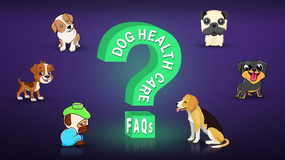 Dog Health Care FAQs Frequently Asked Question Petmoo