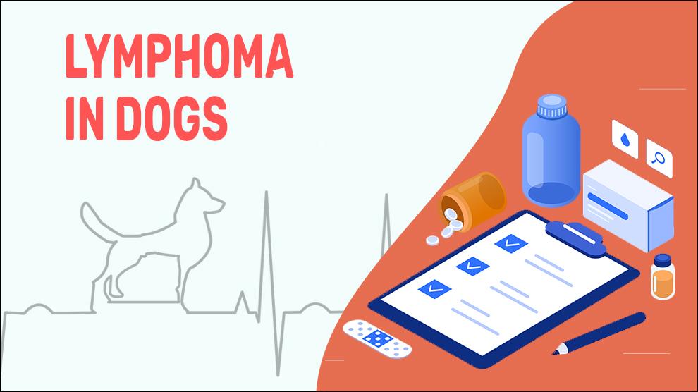 Dog Lymphoma Treatment Options at Mae Brandon blog