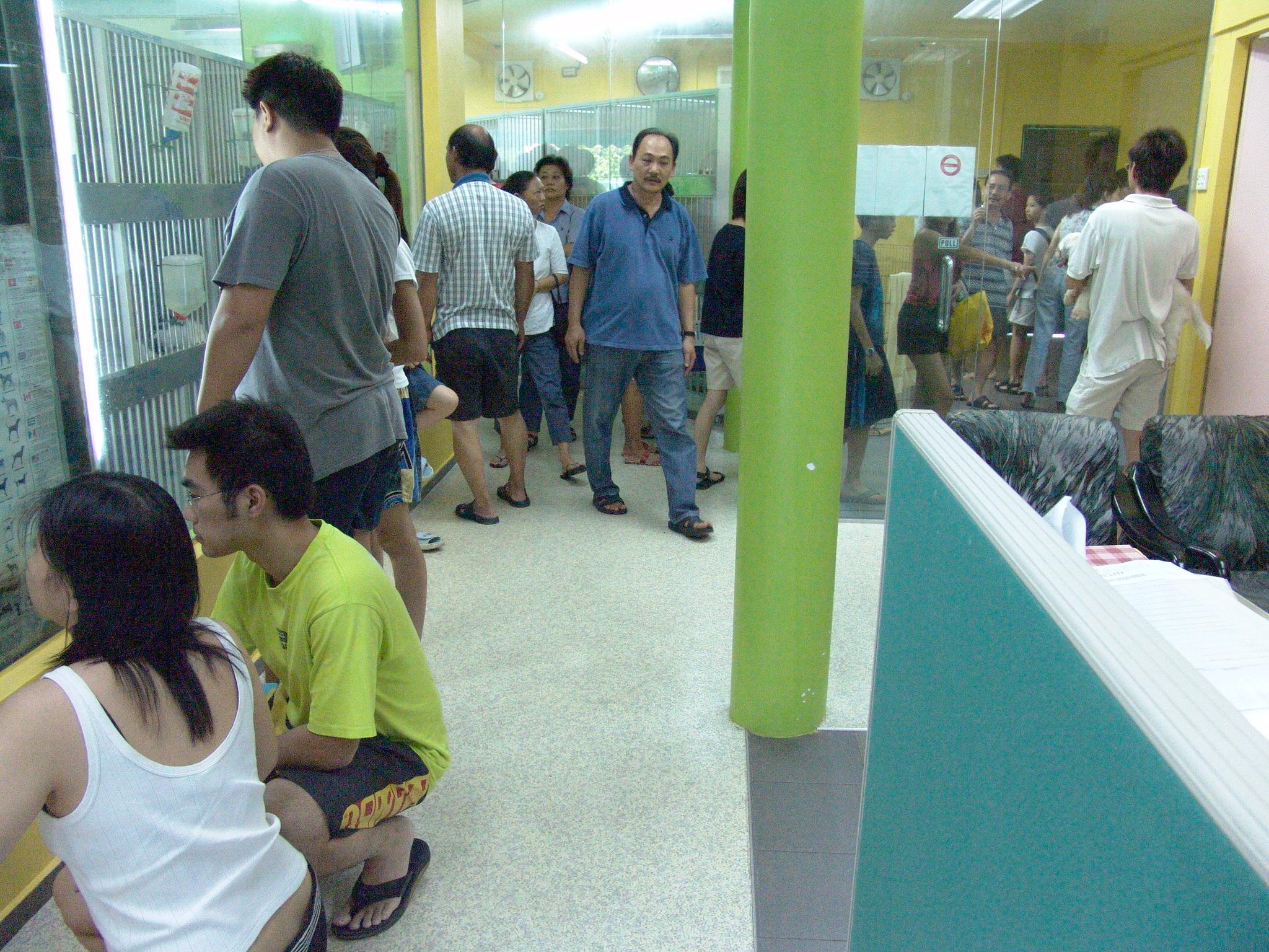 Pet Movers Singapore Boarding Kennels and Cattery