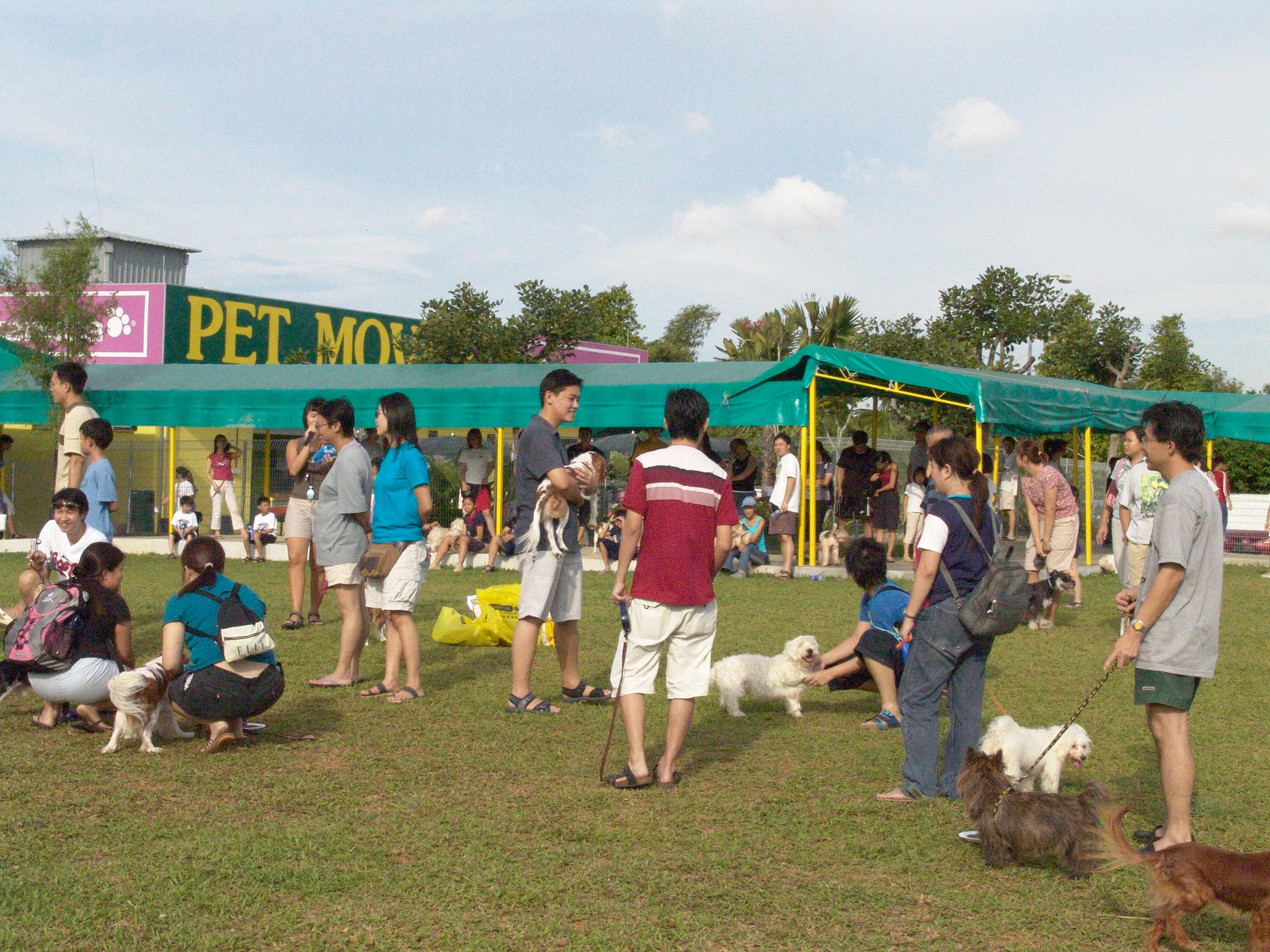 Pet Movers Singapore Boarding Kennels and Cattery