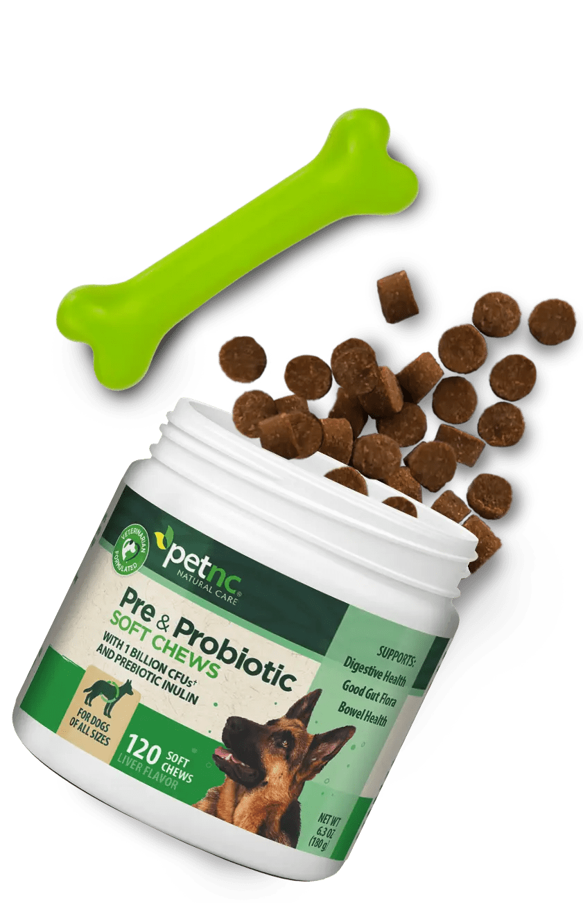 Petnc Natural Care Pre and Probiotic Soft Chews for Dogs
