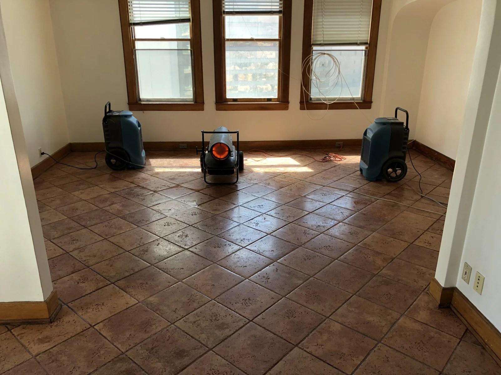 P.O.R.S. Cat Urine Odor Removal Service California